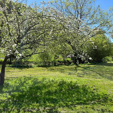 Les Pieds Dans L'Eau, Gite Le Blagour Lachapelle-Auzac Exterior photo