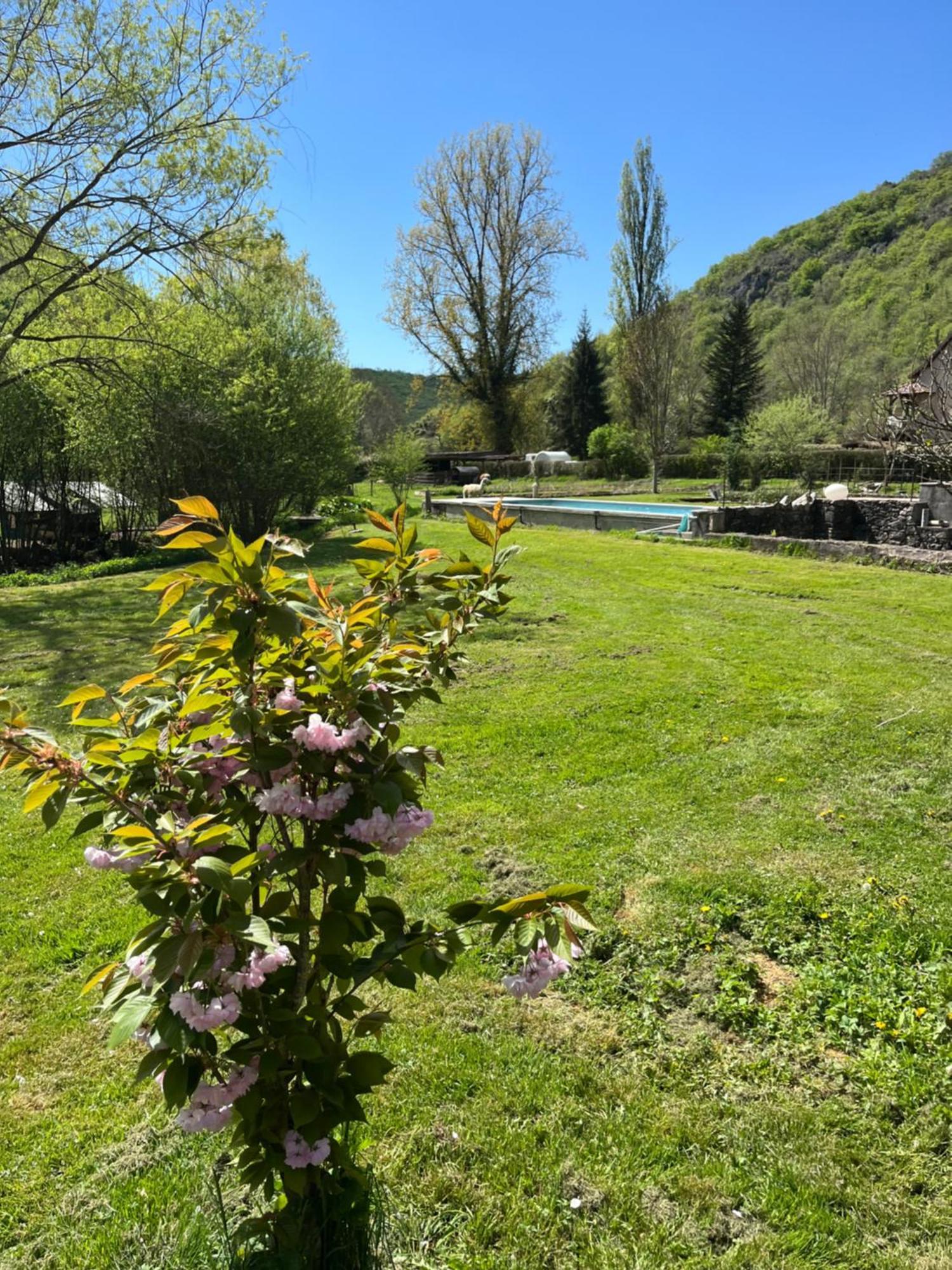 Les Pieds Dans L'Eau, Gite Le Blagour Lachapelle-Auzac Exterior photo